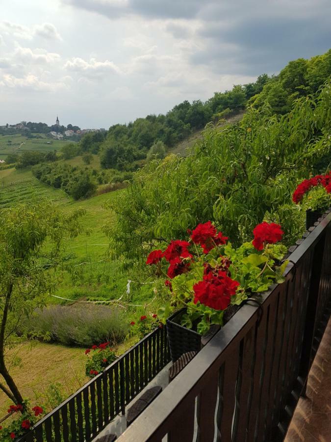 Apartman Potocki Krapina Eksteriør bilde