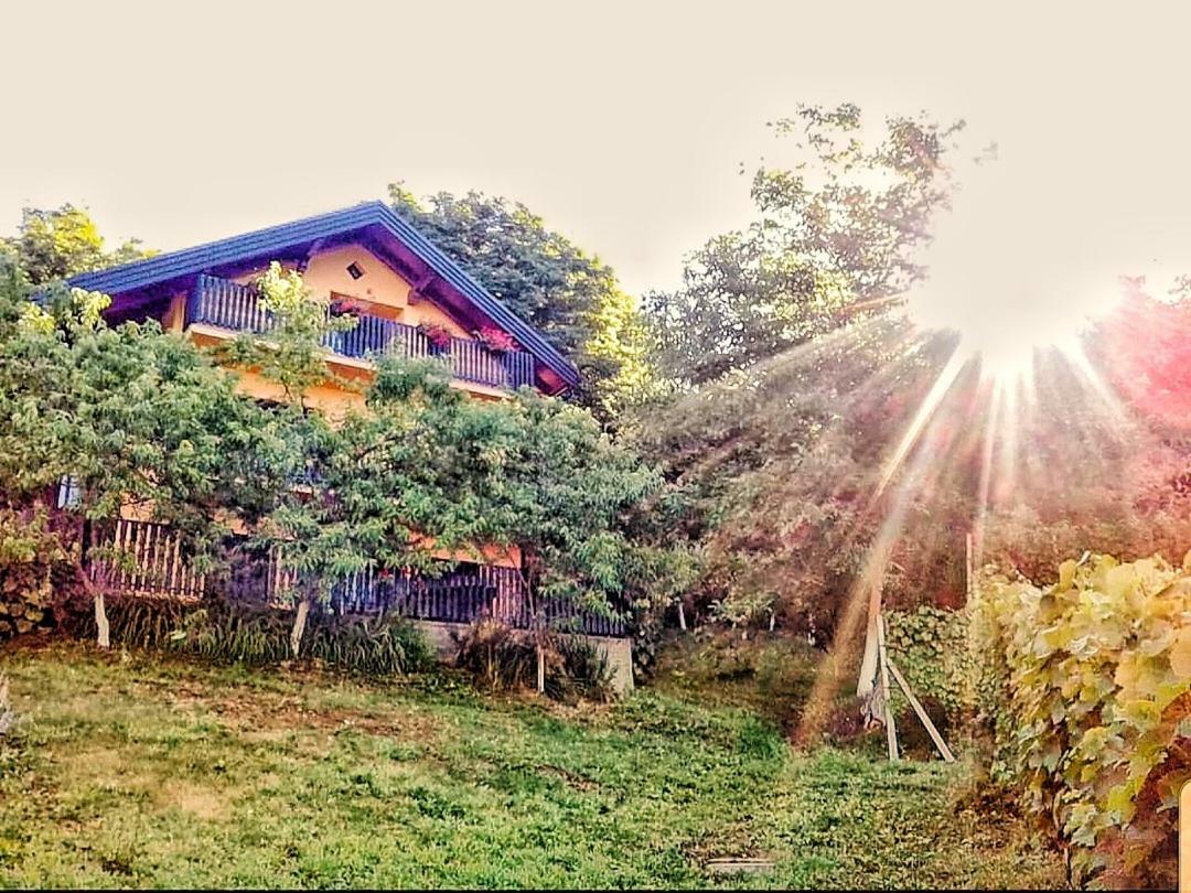 Apartman Potocki Krapina Eksteriør bilde