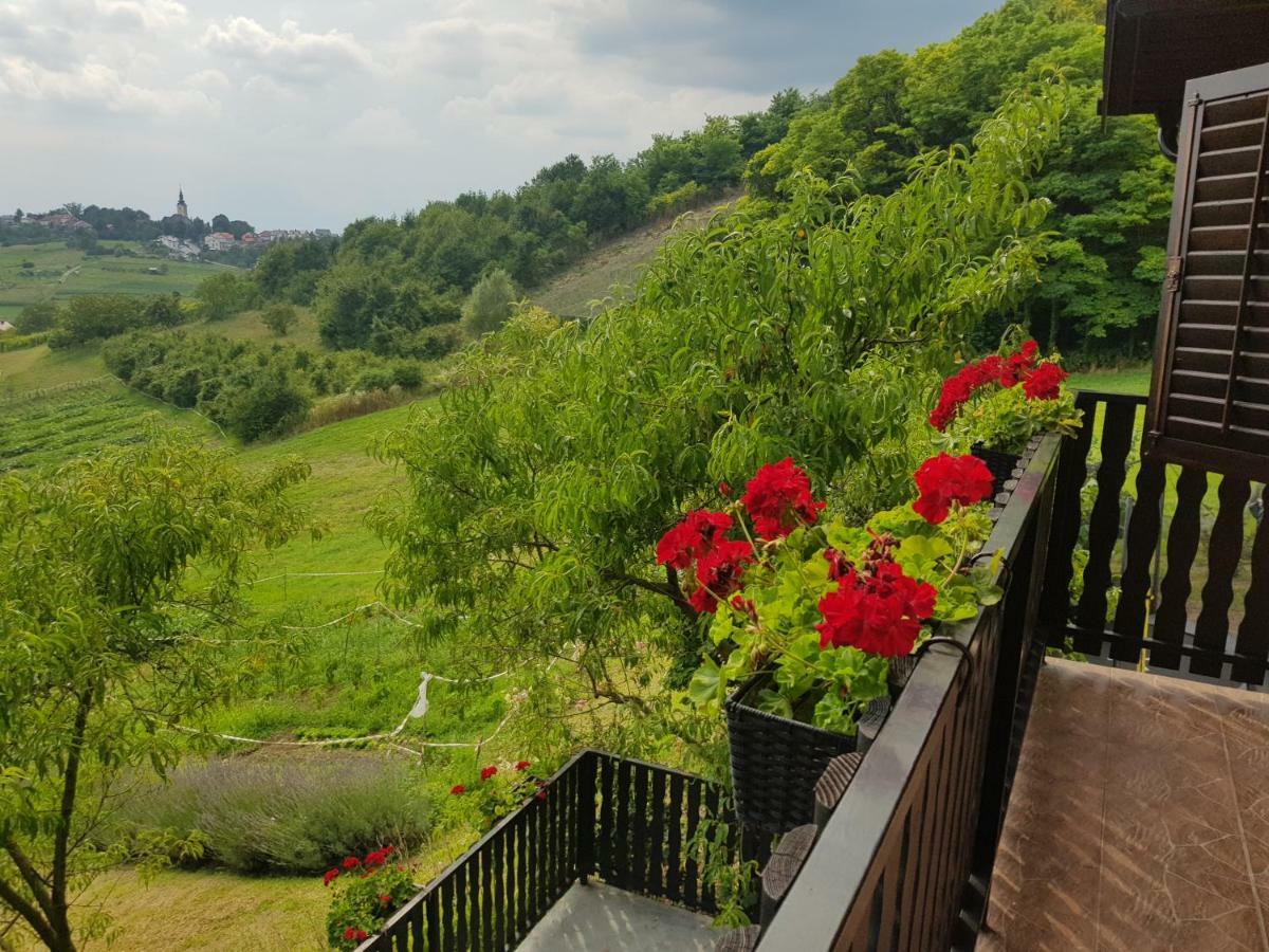 Apartman Potocki Krapina Eksteriør bilde
